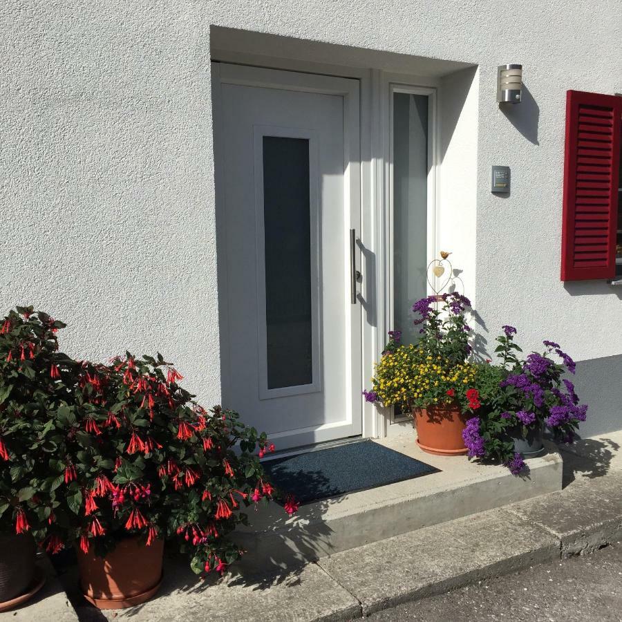 Ferienwohnungen Haus Bergflora Bach  Bagian luar foto